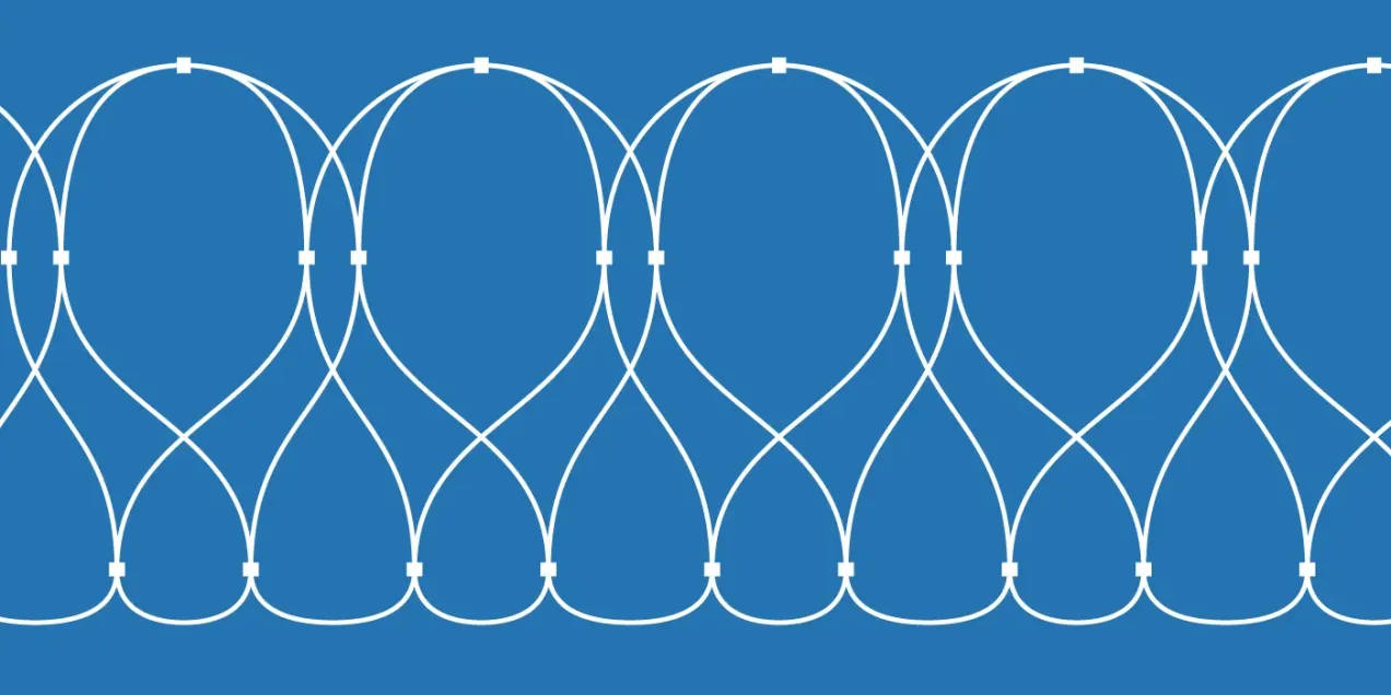 Egoza concertina wire